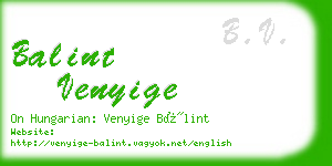 balint venyige business card